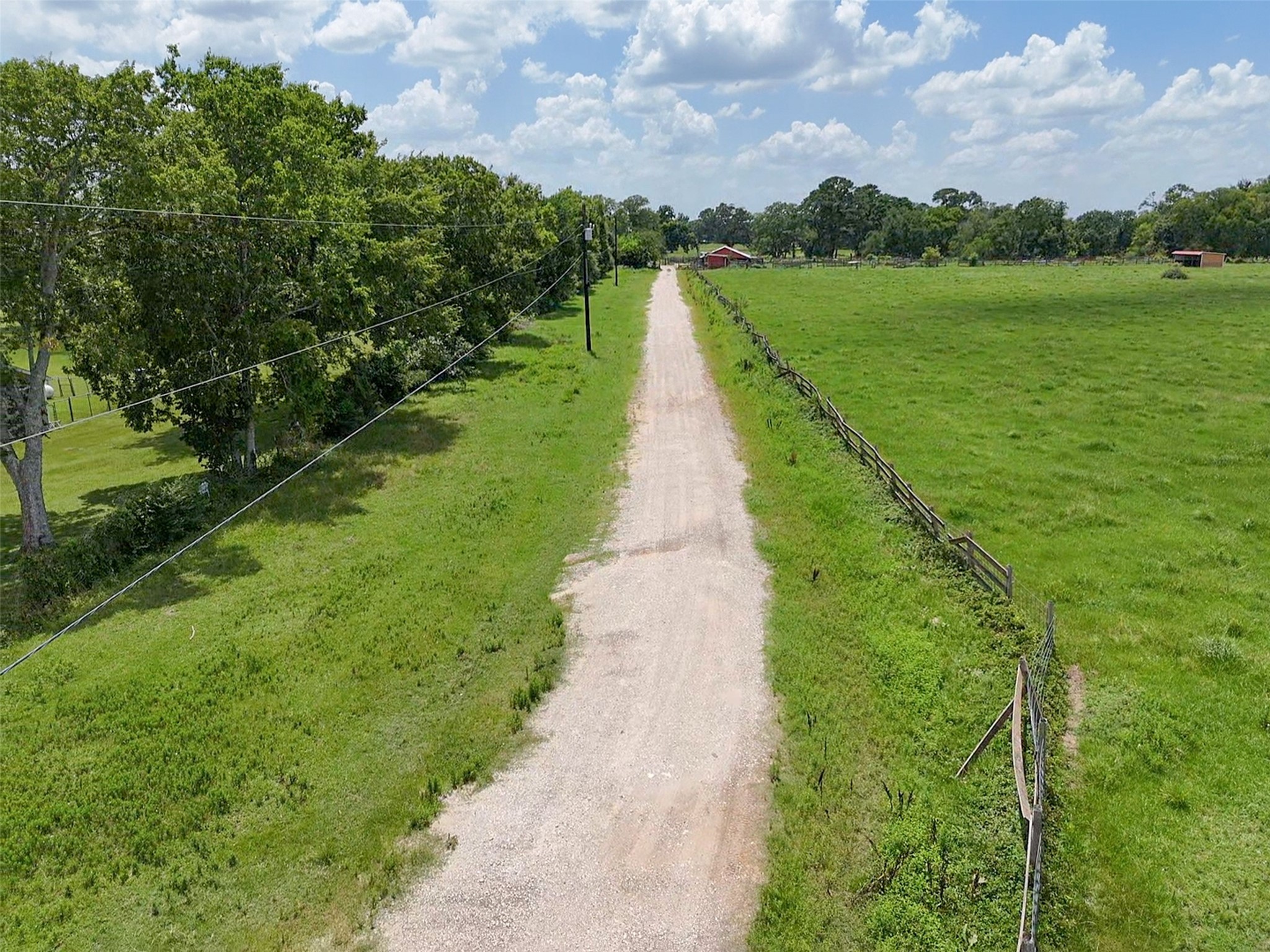 6605 Spring Branch Road Montgomery, TX 77316 - Photo 6 of 12 A picturesque gravel drive leads you through lush meadows bordered by mature trees and classic ranch fencing, setting the tone for this expansive countryside property.