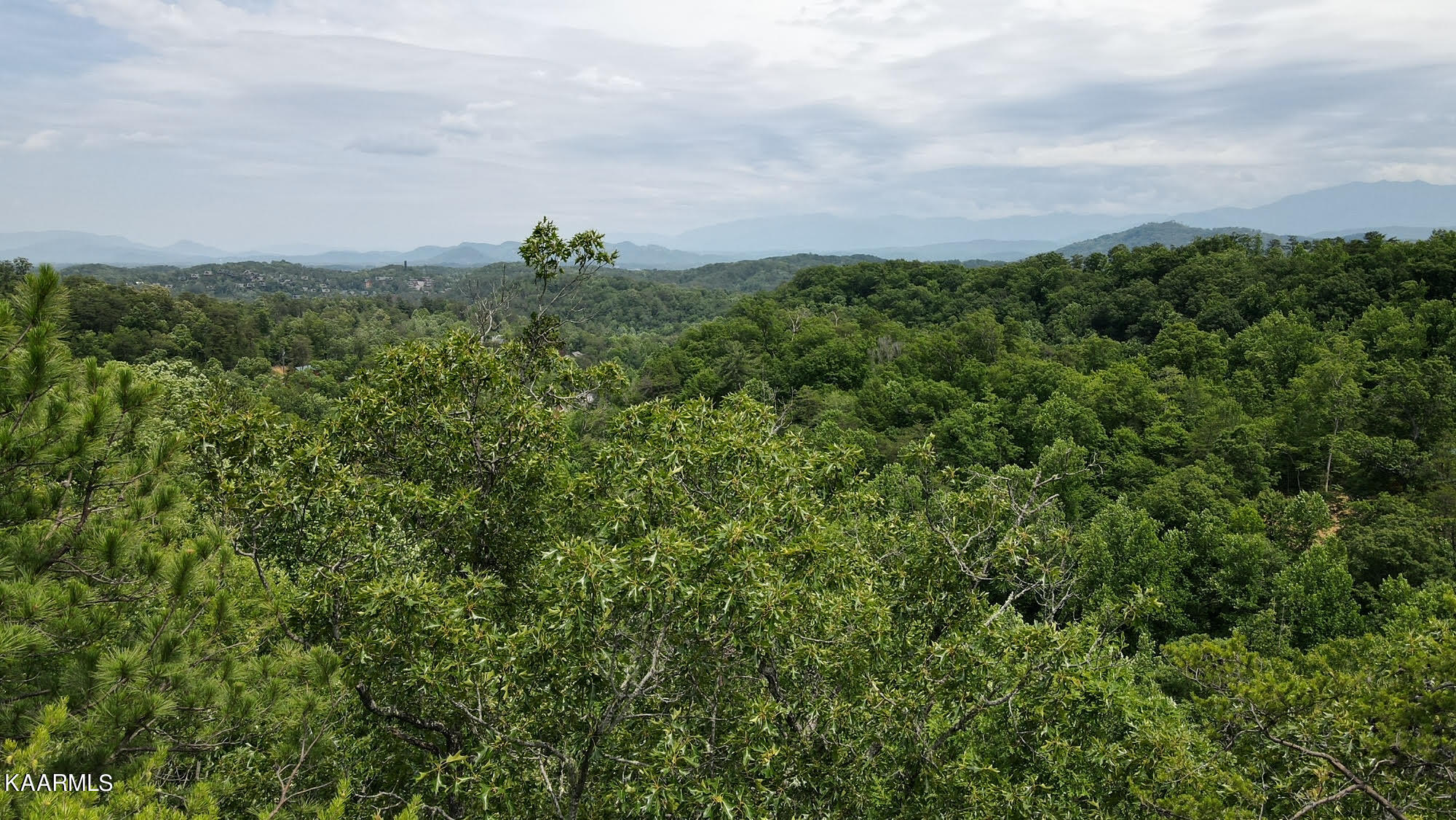 Lot 110 Bluff Ridge Road Sevierville, TN 37876 - Photo 1 of 10 unnamed (2)