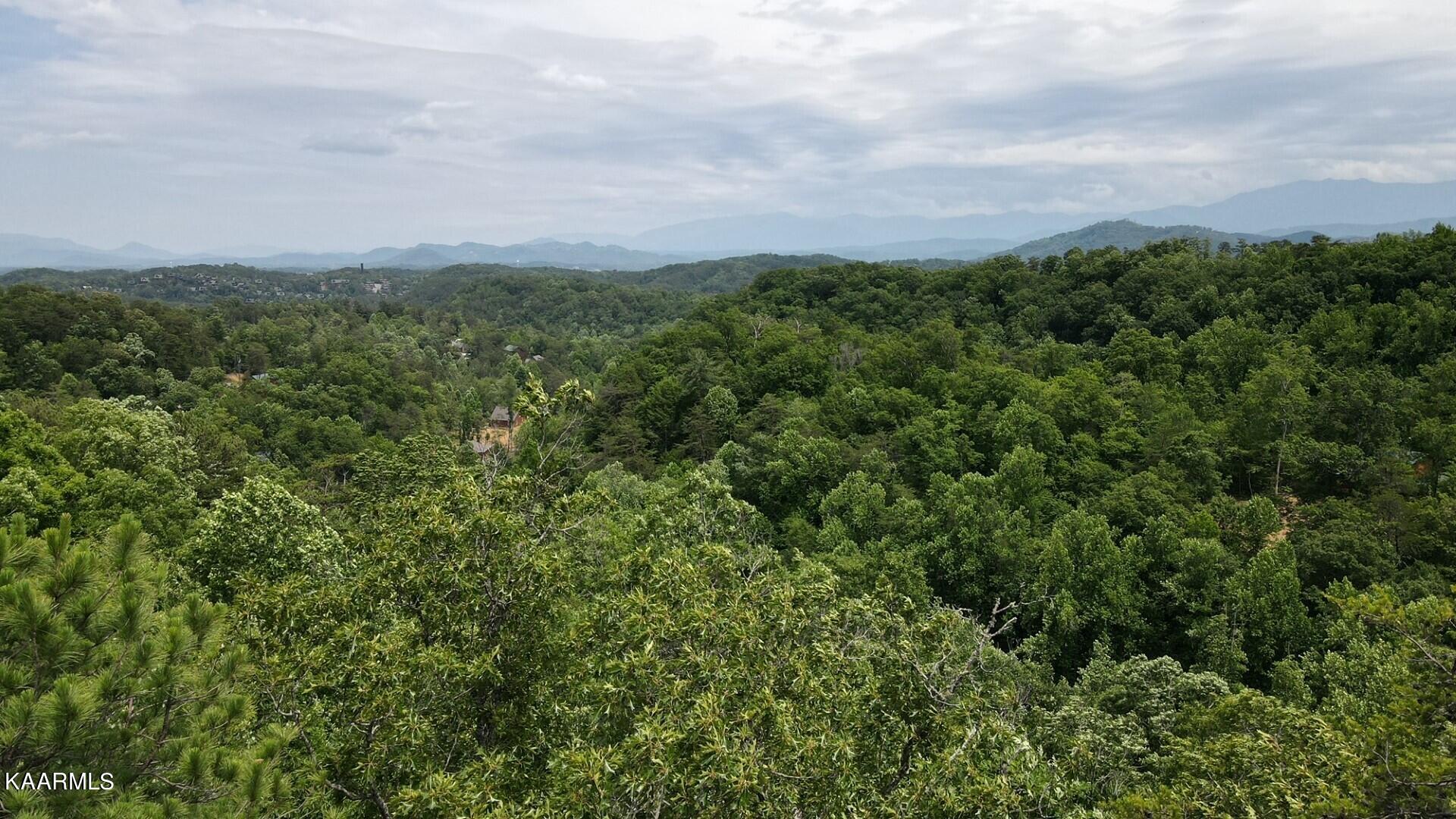 Lot 110 Bluff Ridge Road Sevierville, TN 37876 - Photo 2 of 10 thumbnail_dji_fly_20230614_144424_265_16