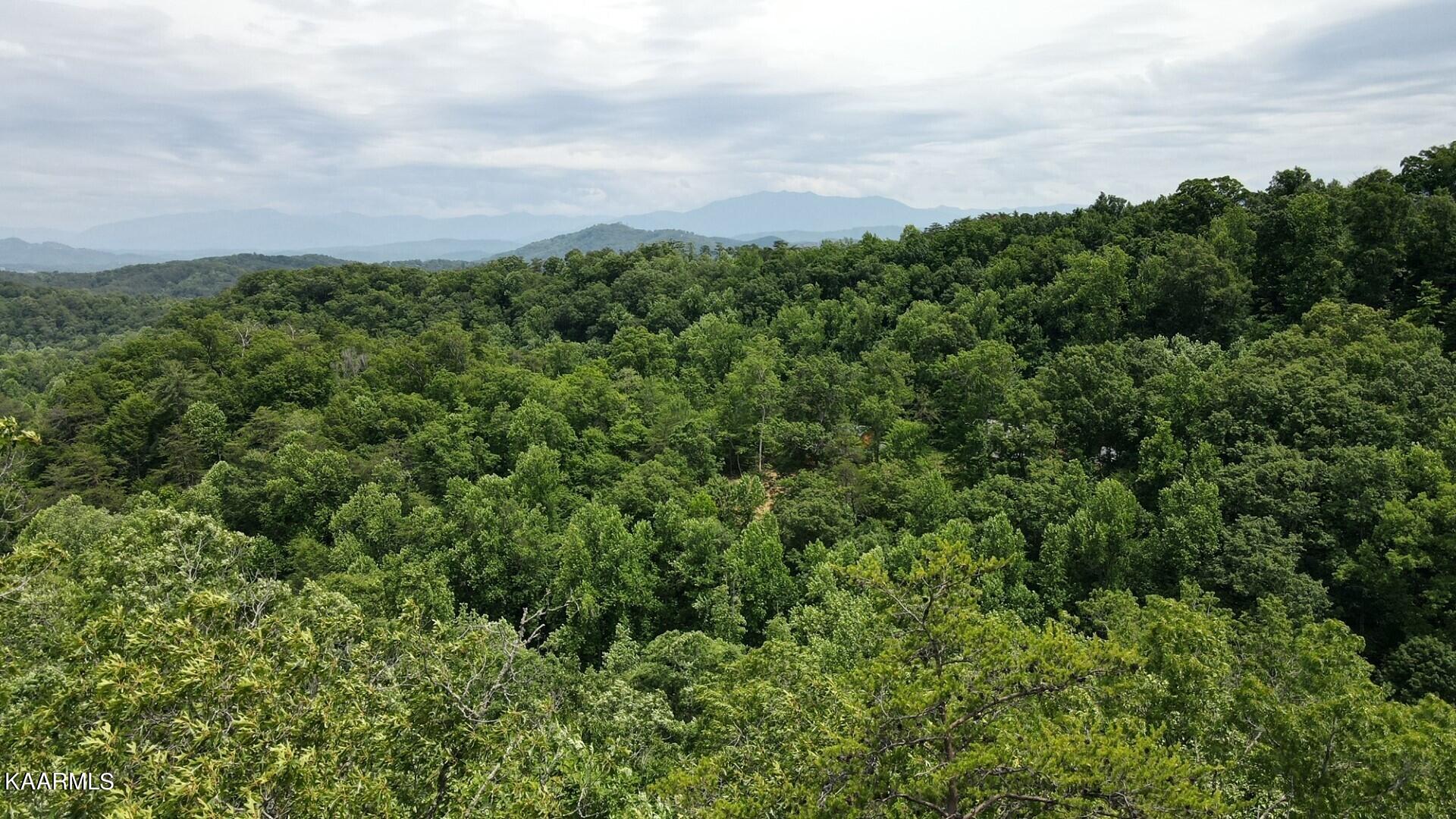 Lot 110 Bluff Ridge Road Sevierville, TN 37876 - Photo 3 of 10 thumbnail_dji_fly_20230614_144430_266_16
