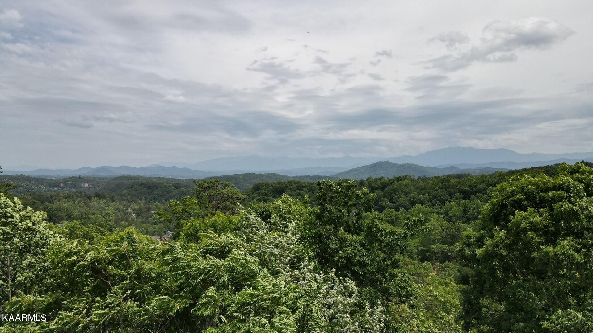 Lot 110 Bluff Ridge Road Sevierville, TN 37876 - Photo 10 of 10 thumbnail_dji_fly_20230614_144318_264_16