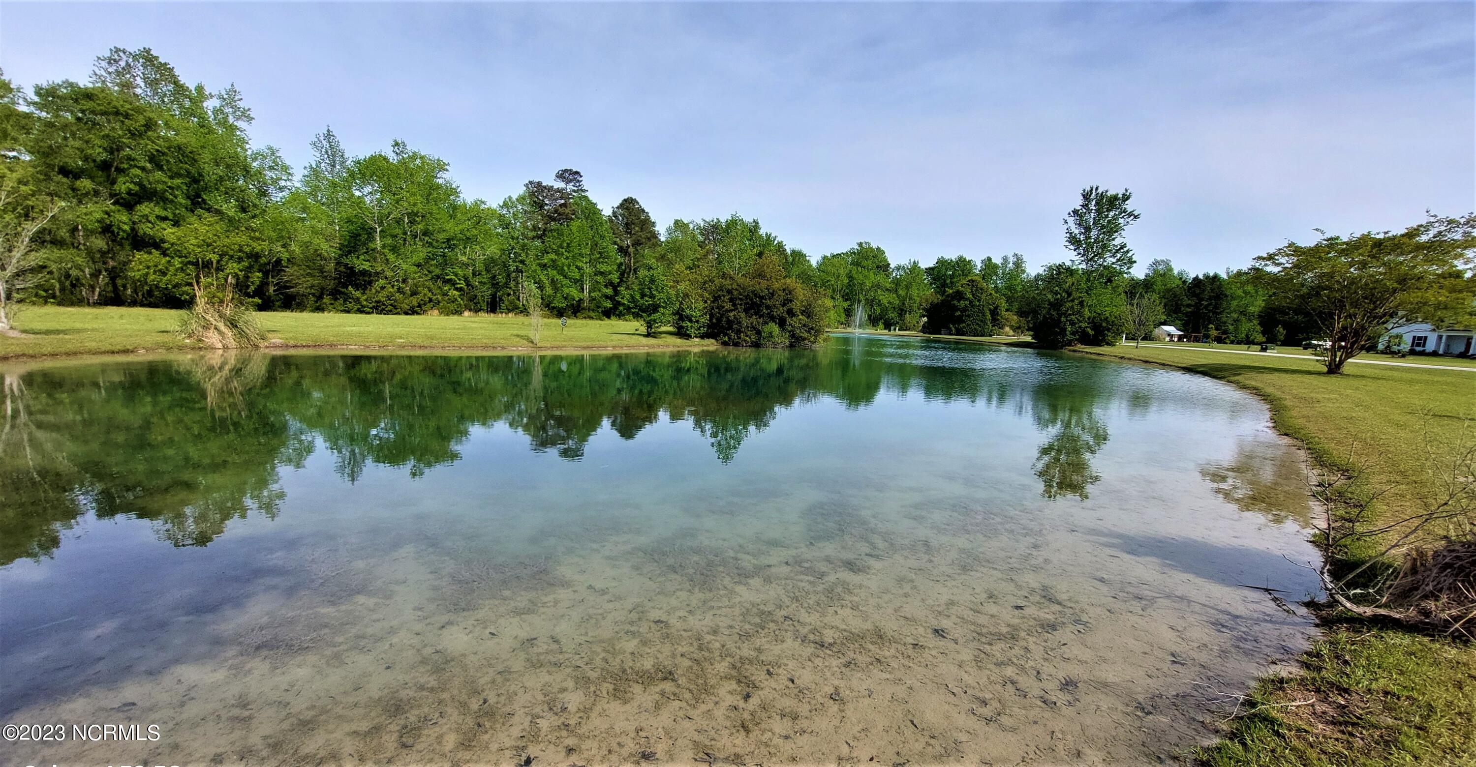 166 Baird Point Road Grantsboro, NC 28529 - Photo 7 of 39 Beautiful Community Pond with Fountain