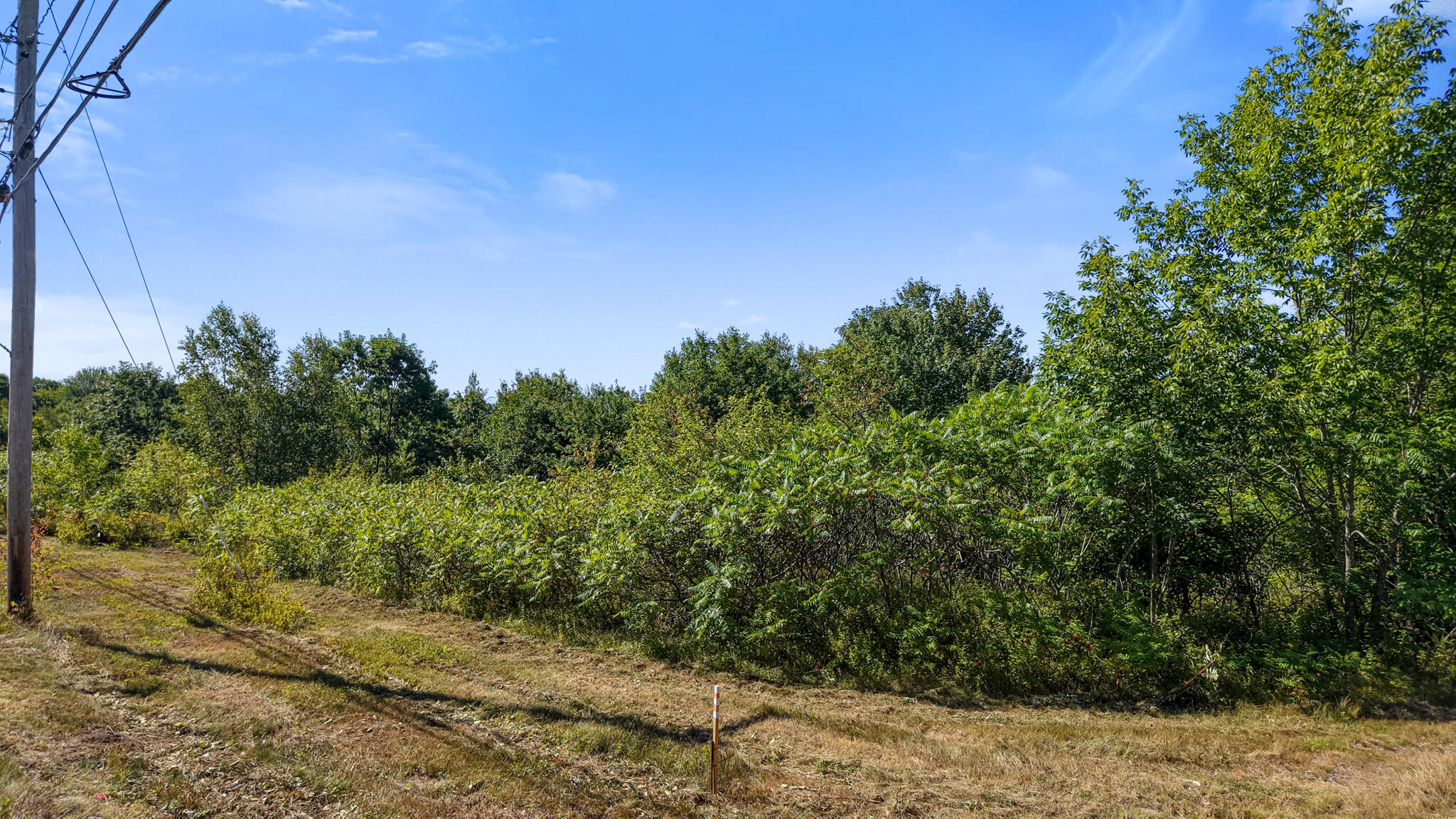 0 Eastbrook Road Franklin, ME 04634 - Photo 2 of 13 Land Views
