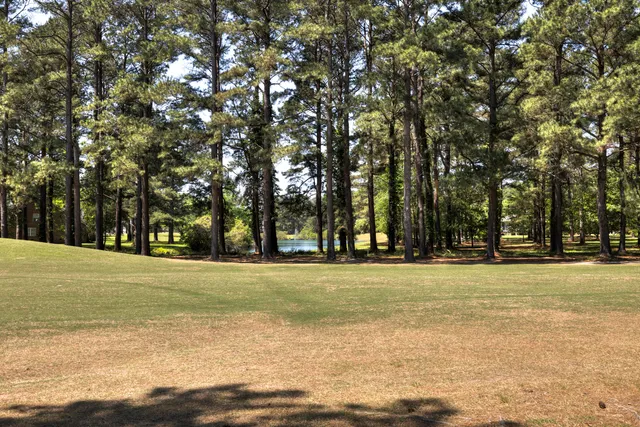 $425,000 | 233 Plantation Drive, Manning, SC 29102