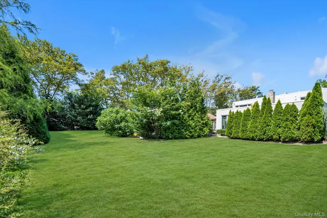 a view of a grassy field with trees in the background