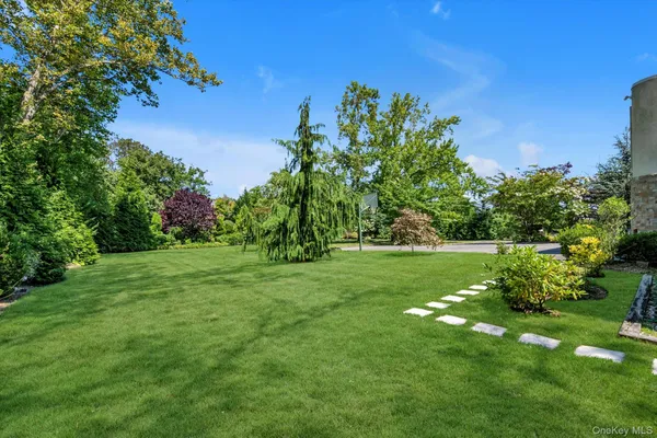 a view of a grassy field with trees