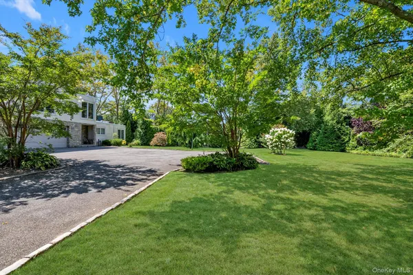 a view of a backyard with large trees