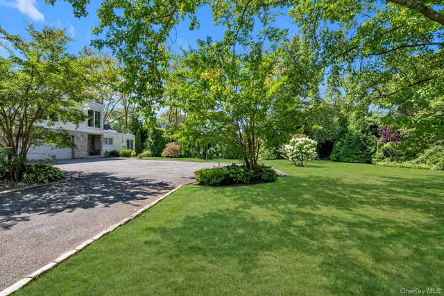 a view of a backyard with large trees
