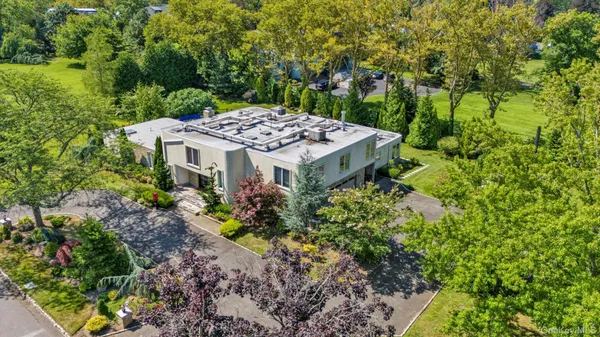 a view of a garden with plants