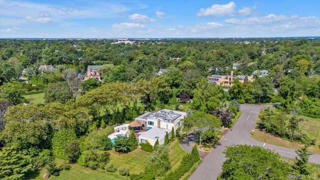 a view of a city with lush green forest