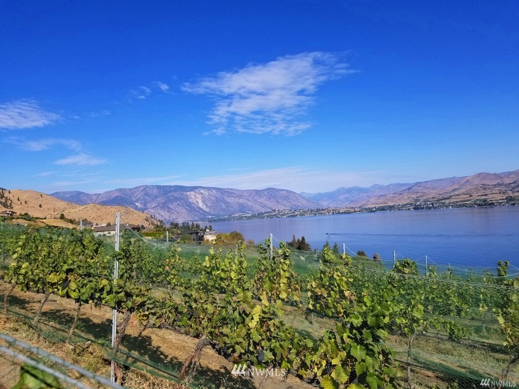 755 South Lakeshore Road Chelan, WA 98816 - Photo 17 of 24 Gallery Image 17