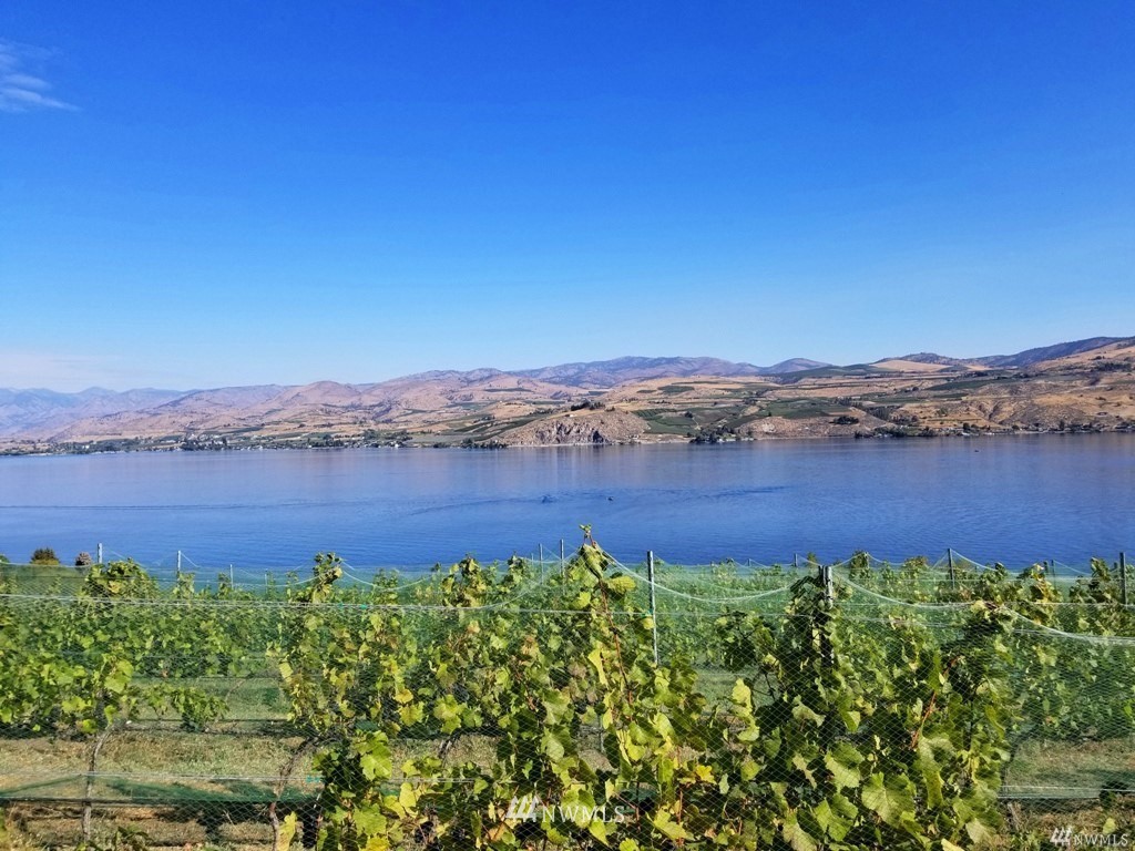 755 South Lakeshore Road Chelan, WA 98816 - Photo 18 of 24 Gallery Image 18
