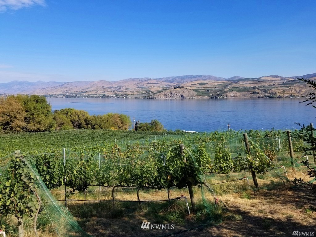 755 South Lakeshore Road Chelan, WA 98816 - Photo 19 of 24 Gallery Image 19