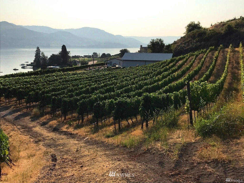755 South Lakeshore Road Chelan, WA 98816 - Photo 20 of 24 Gallery Image 20