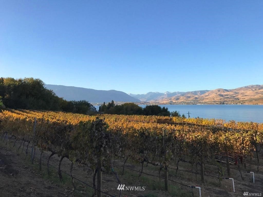 755 South Lakeshore Road Chelan, WA 98816 - Photo 21 of 24 Gallery Image 21