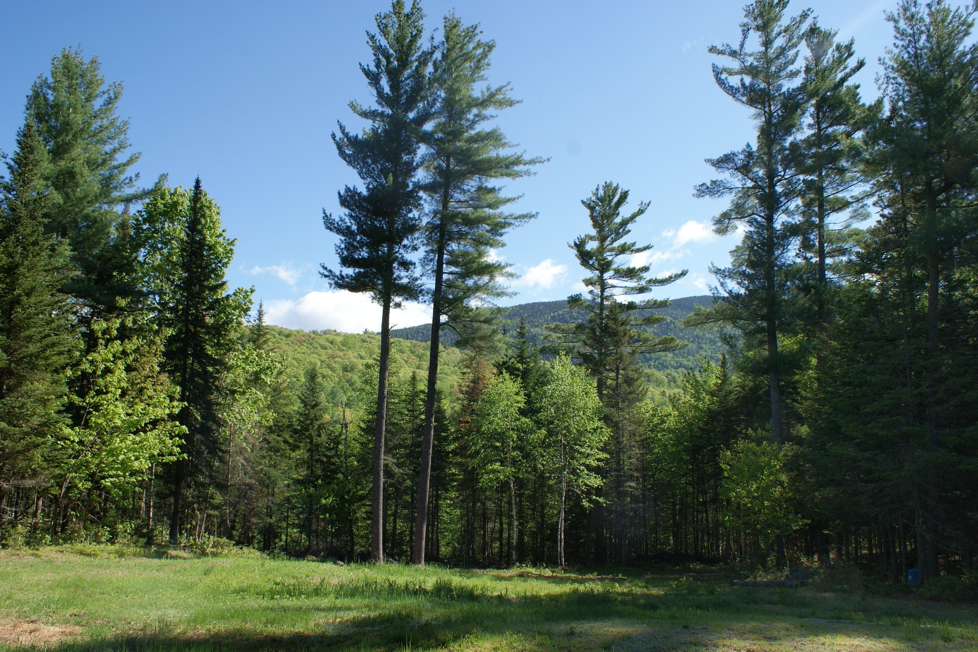 8073 Carrabassett Road Stratton, ME 04982 - Photo 3 of 29 DSC06990