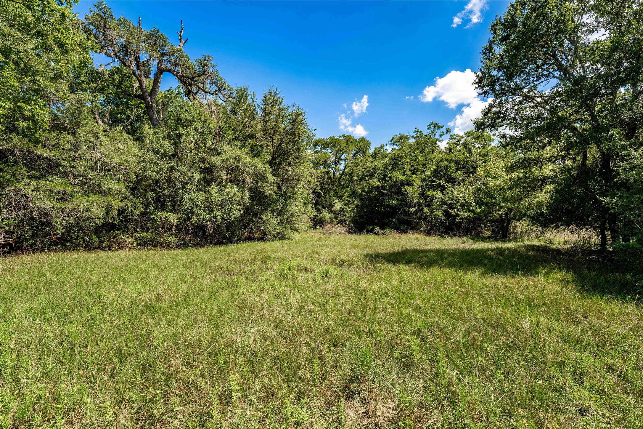 253 Cr 253 Road Weimar, TX 78962 - Photo 14 of 16 a view of a lake view