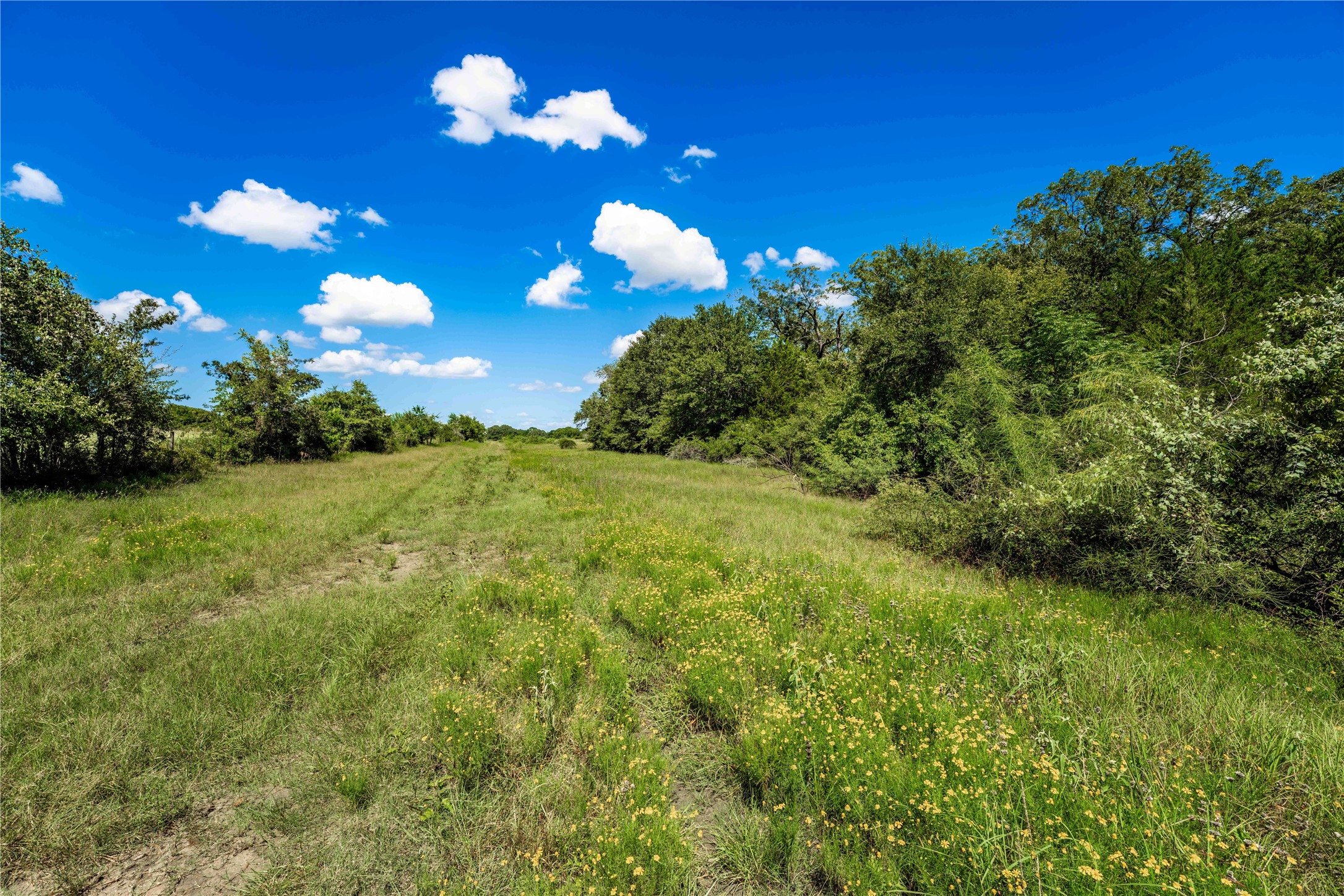 253 Cr 253 Road Weimar, TX 78962 - Photo 16 of 16 a view of a flower garden in a yard
