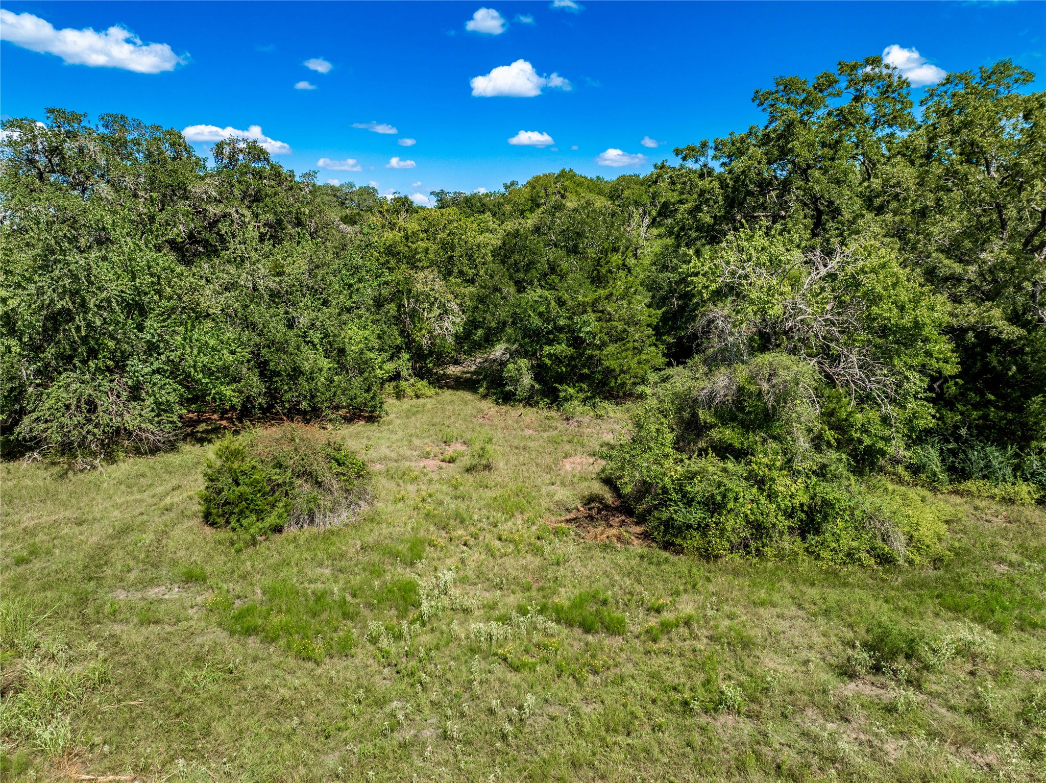 253 Cr 253 Road Weimar, TX 78962 - Photo 7 of 16 a view of a green yard