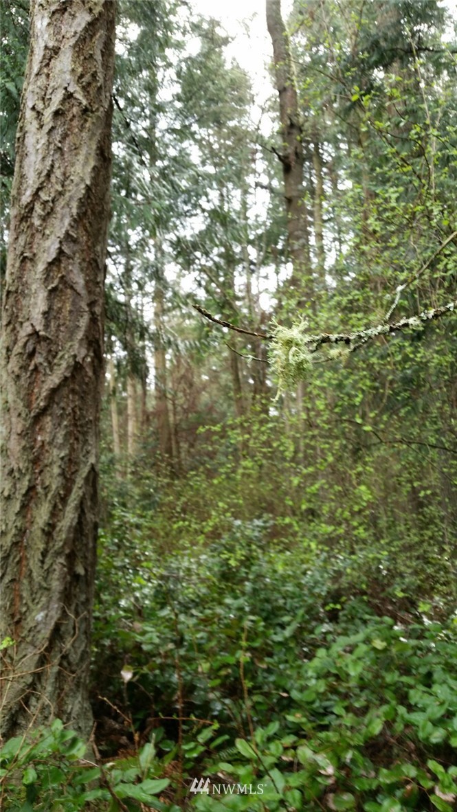11 Sunrise Road Lopez Island, WA 98261 - Photo 1 of 2