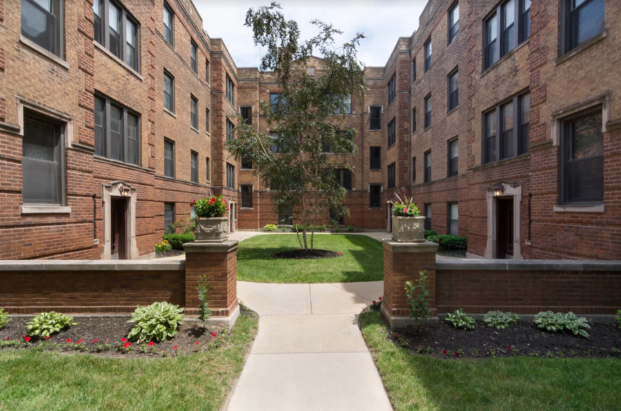 a view of a garden with a bench