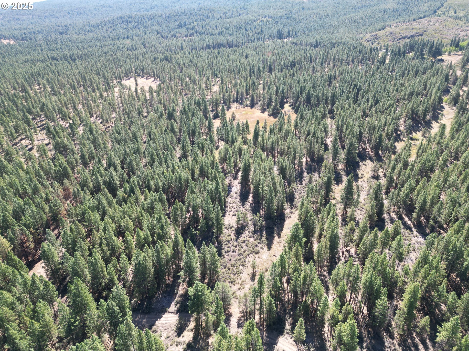 0 Bliss Road Sprague River, OR 97639 - Photo 9 of 47 a view of forest