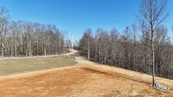 a view of a yard with trees on both side of it