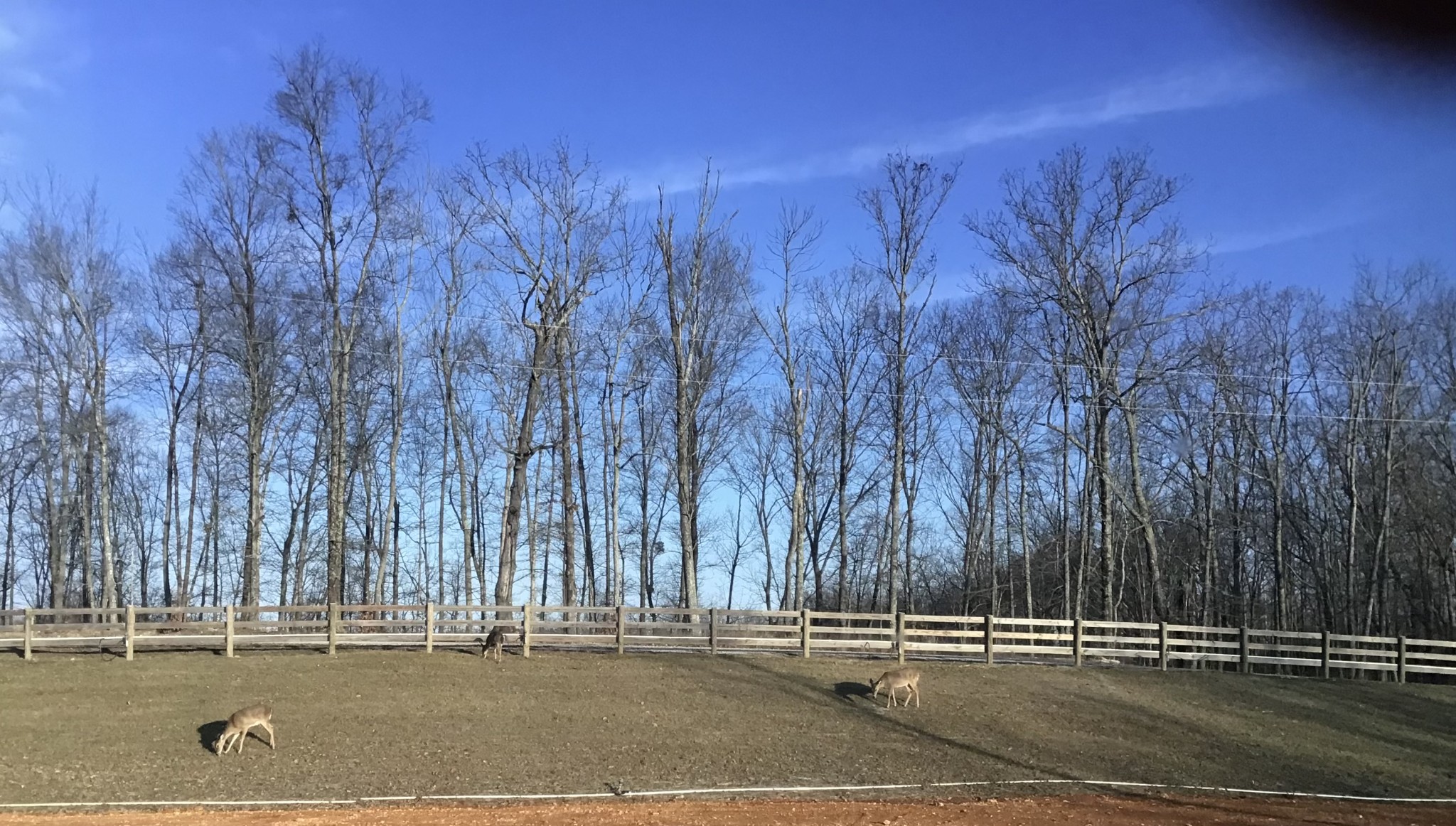 1375 Overlook Trail Stewart, TN 37175 - Photo 6 of 16 a view of a yard