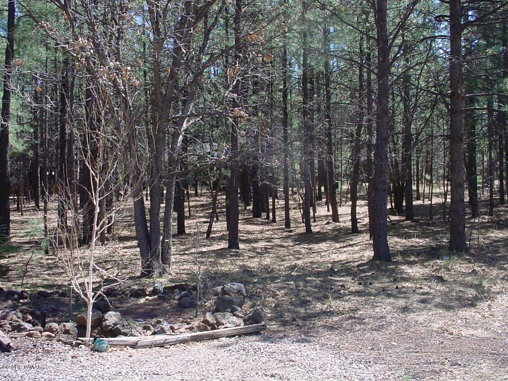 255 Mallard Circle Pinetop, AZ 85935 - Photo 1 of 1