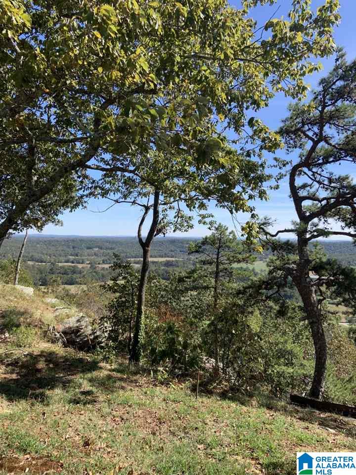 525 Overlook Road Boaz, AL 35956 - Photo 13 of 21