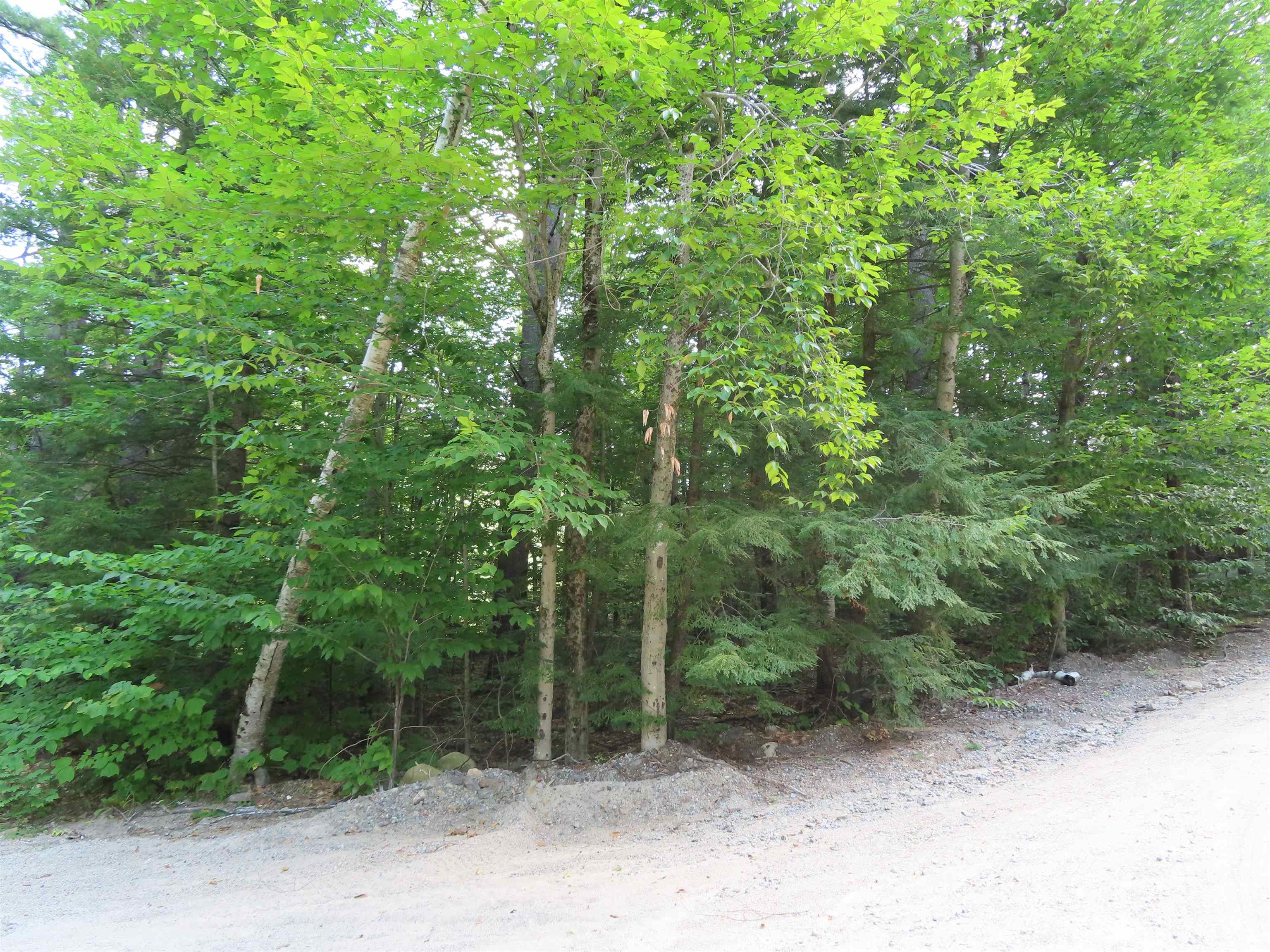 Lot 160 Bly Ave  