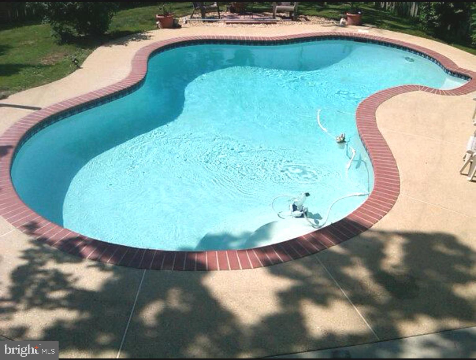 905 Mark Road Baltimore, MD 21225 - Photo 28 of 30 Exterior (Rear) In ground Pool