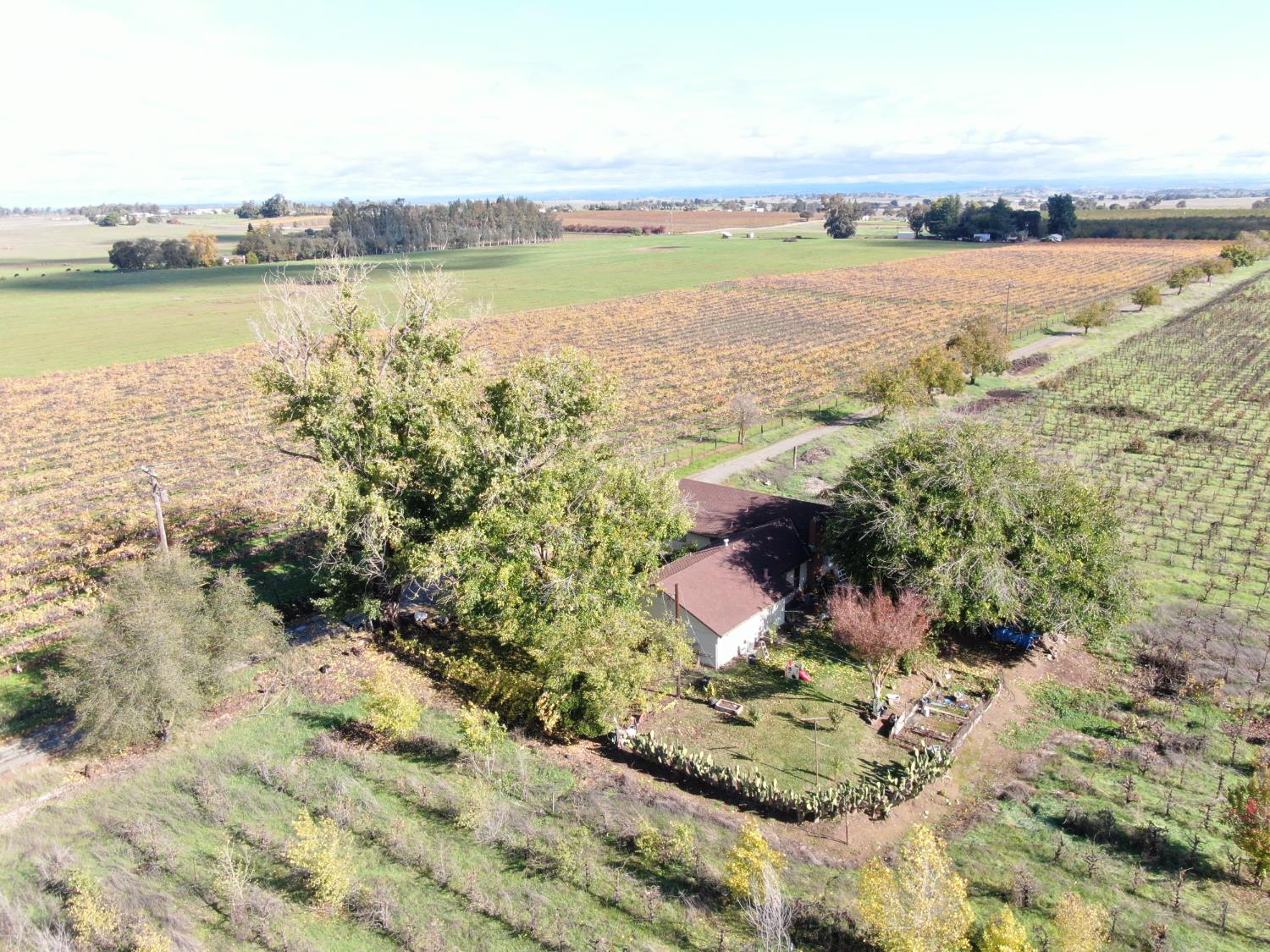 25839 Mackville Road Clements, CA 95227 - Photo 16 of 26 a view of a lake with outdoor space