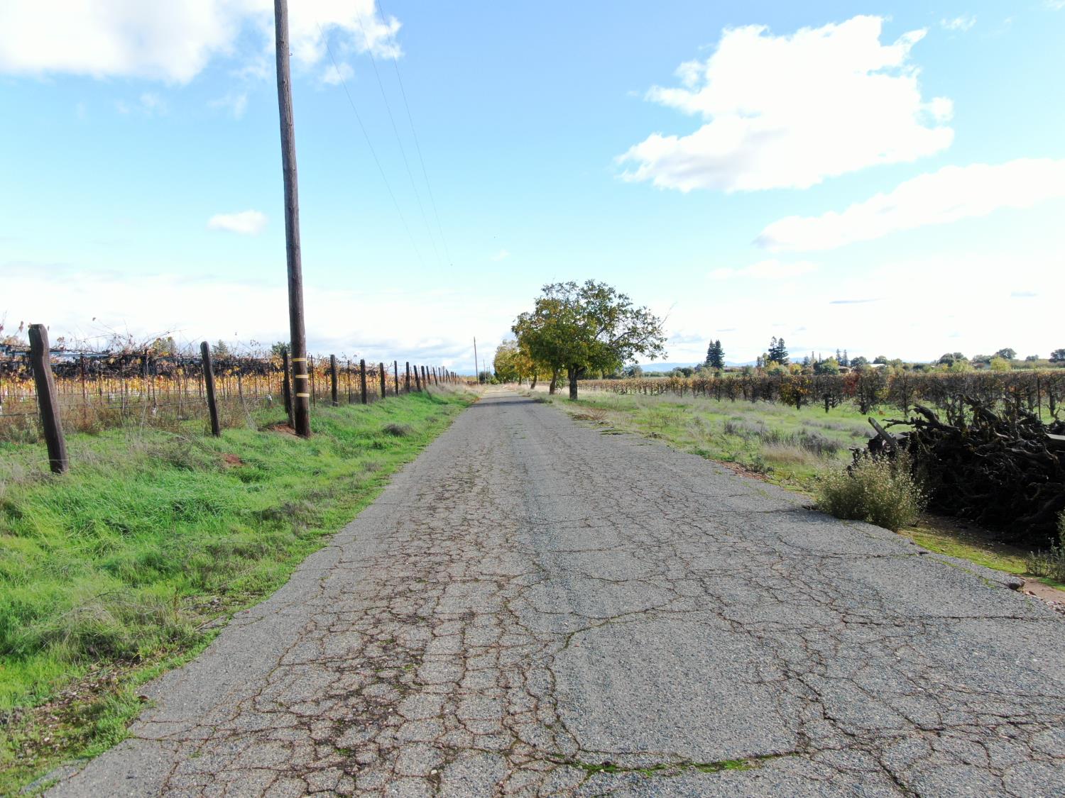 25839 Mackville Road Clements, CA 95227 - Photo 26 of 26 a view of a road with a yard