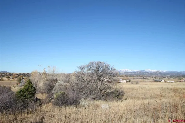 a close view of shower