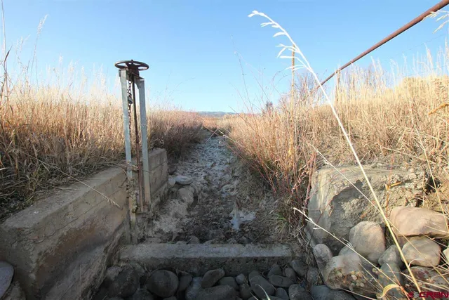 a view of outdoor space and a yard