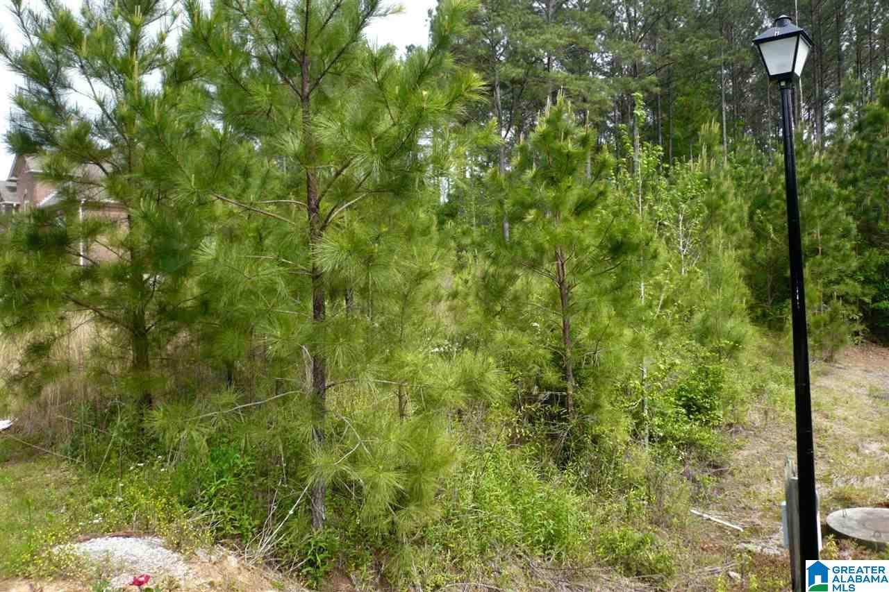 522 Woodbridge Trace, Unit 55 Chelsea, AL 35043 - Photo 5 of 22