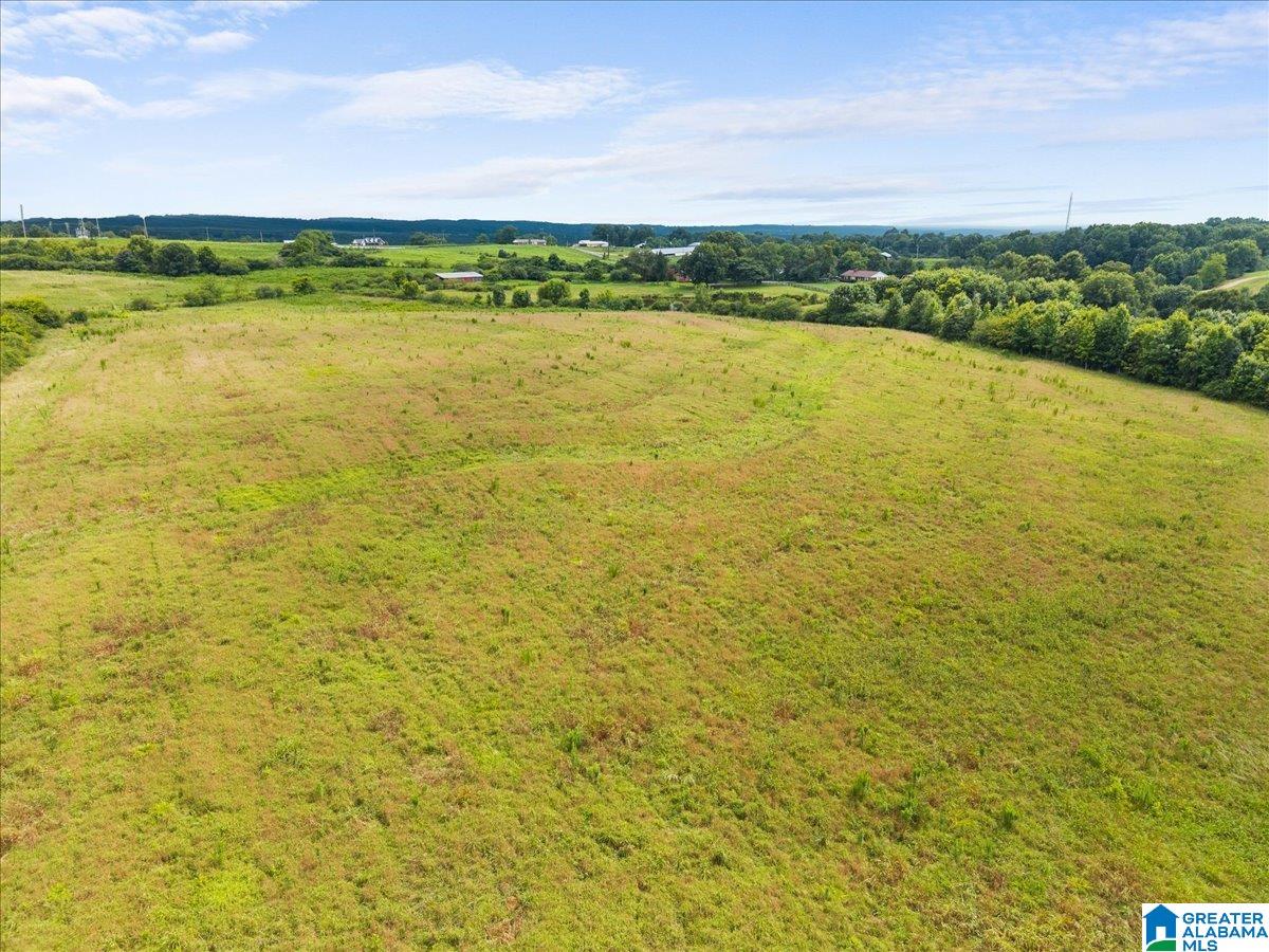 270 Reneau Road Oneonta, AL 35121 - Photo 37 of 38