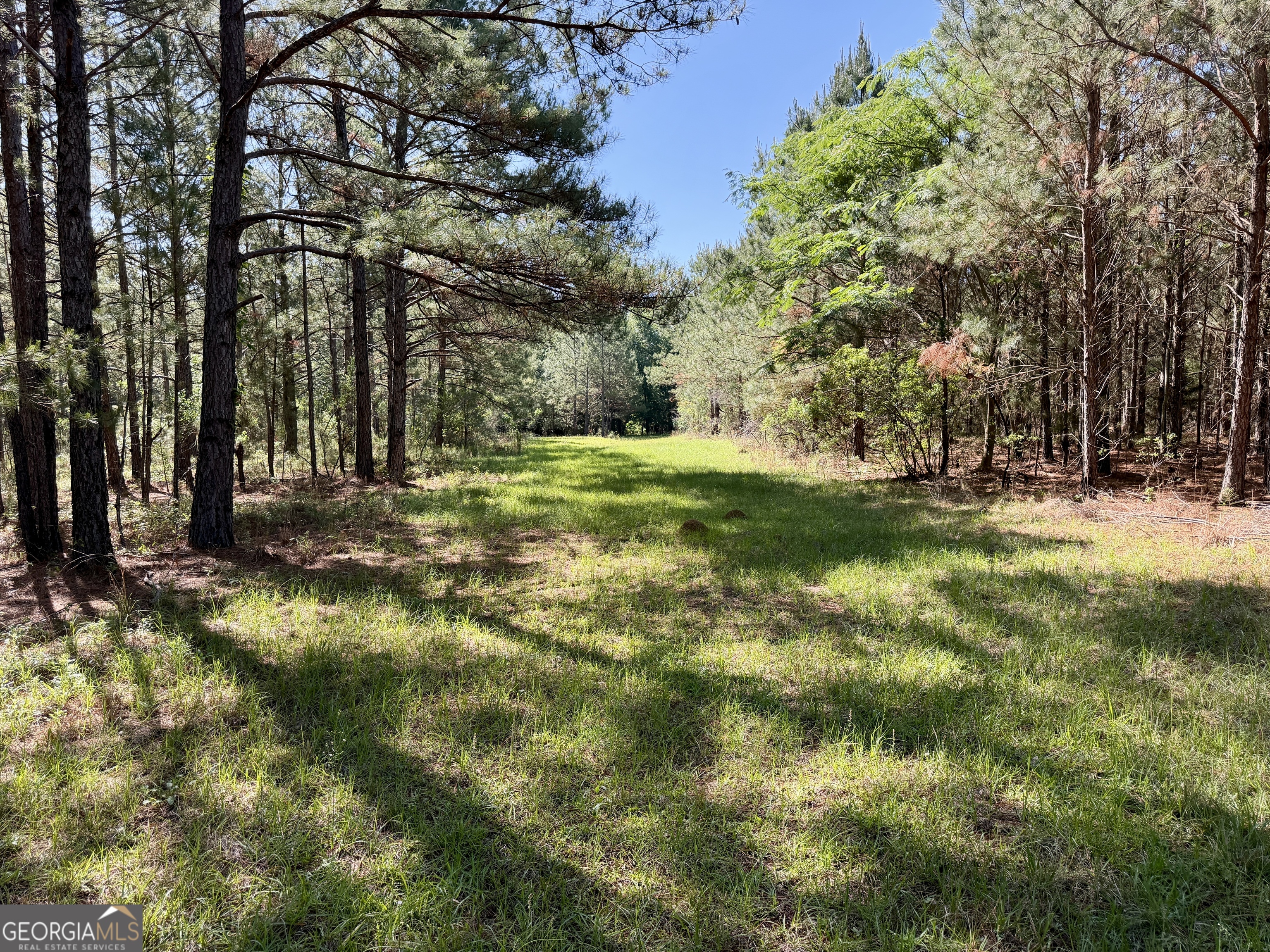 769 Mt Olive Church Road Eastman, GA 31023 - Photo 62 of 68