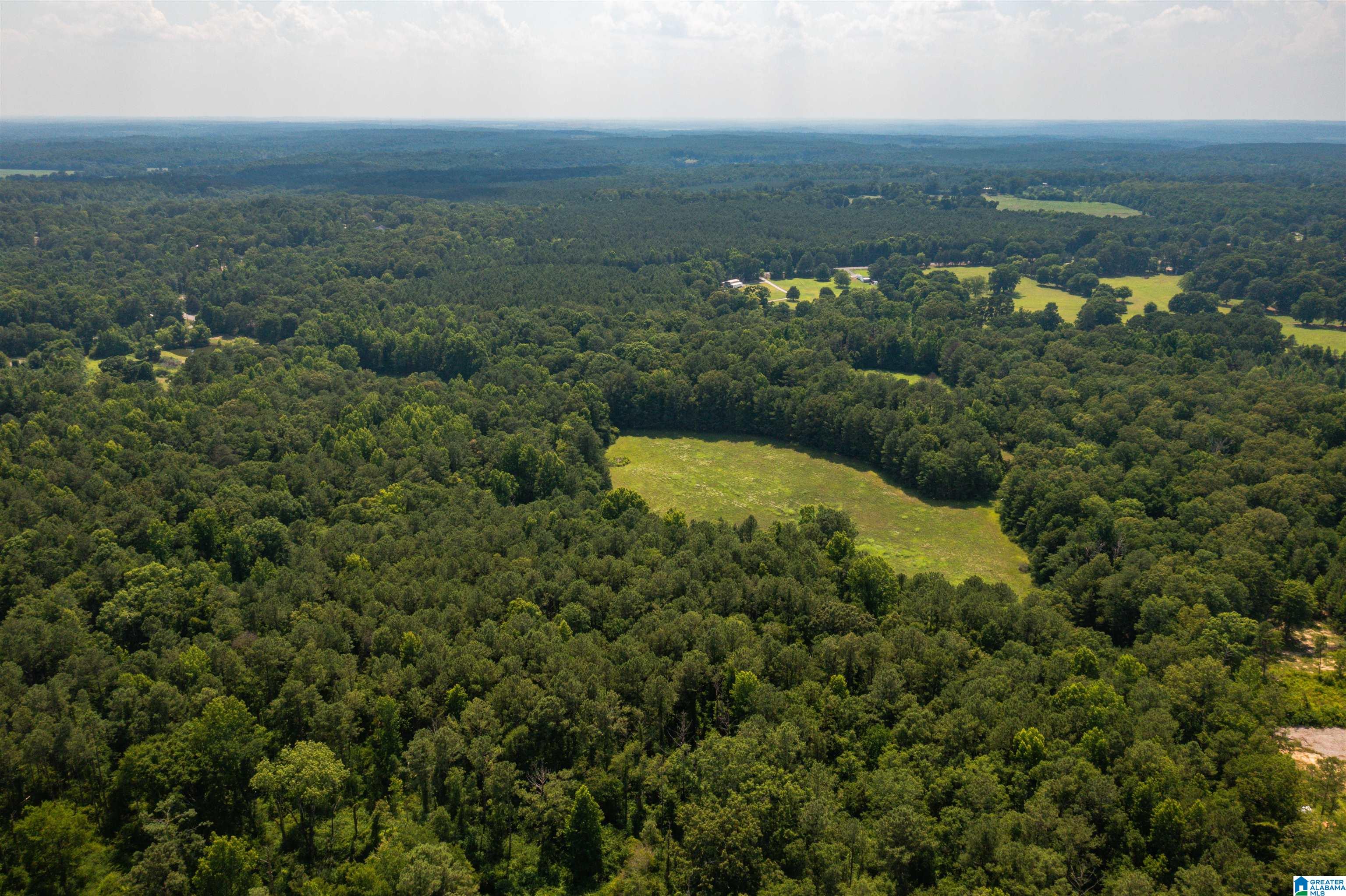 155 Highway Montevallo Al, Unit 1 Montevallo, AL 35115 - Photo 11 of 24