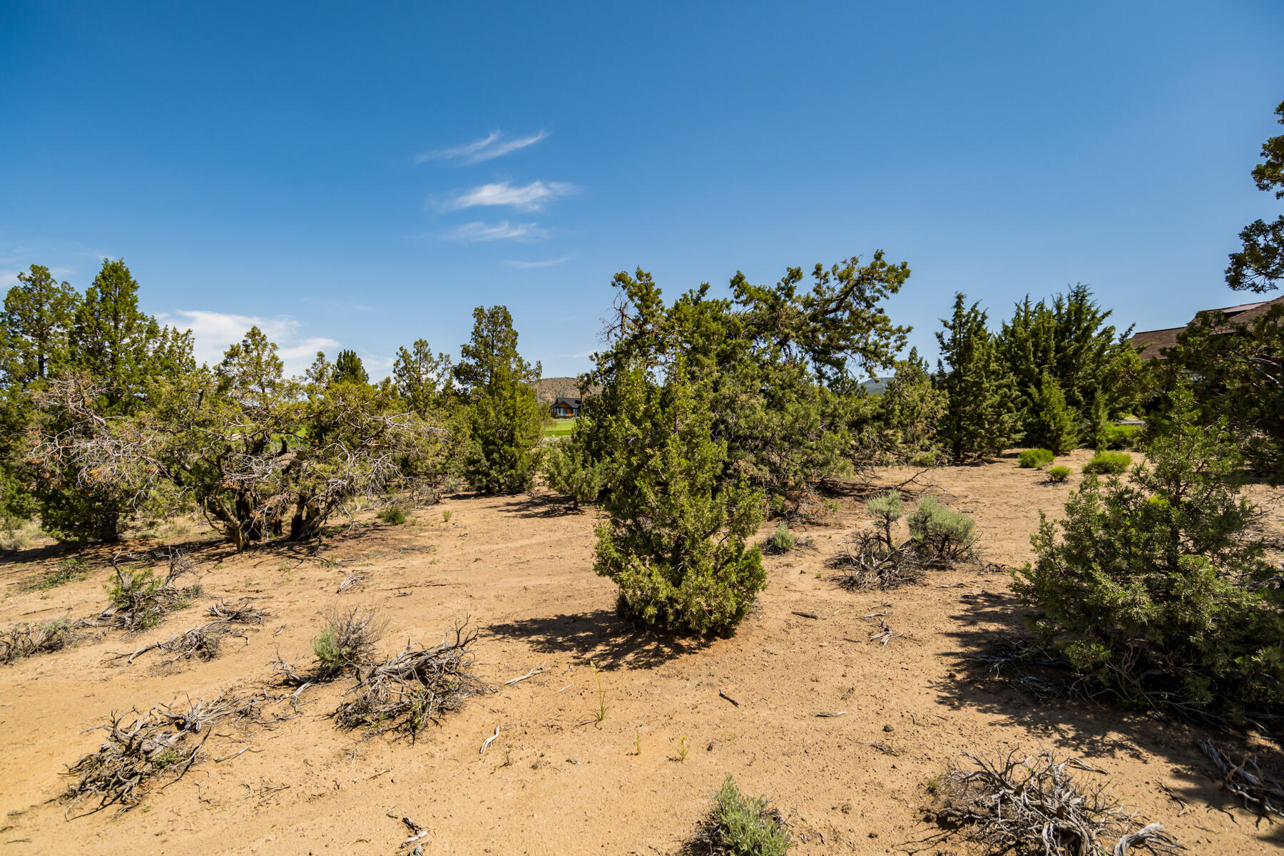 Lot 81 Southwest Brasada Ranch Road Powell Butte, OR 97753 - Photo 7 of 22 JH5_0525