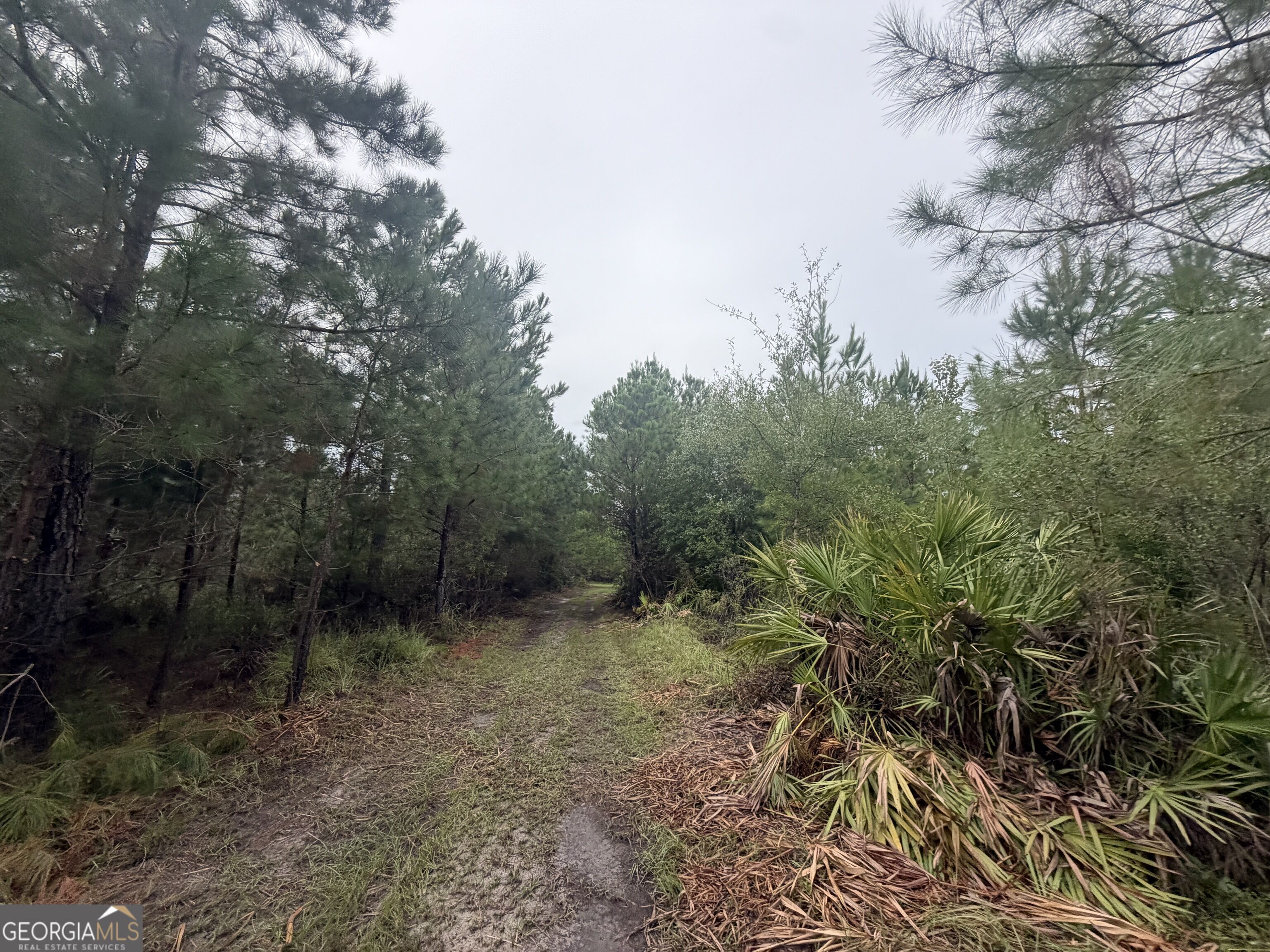 0 Jamestown Road Waycross, GA 31503 - Photo 63 of 92 Gallery Image 63