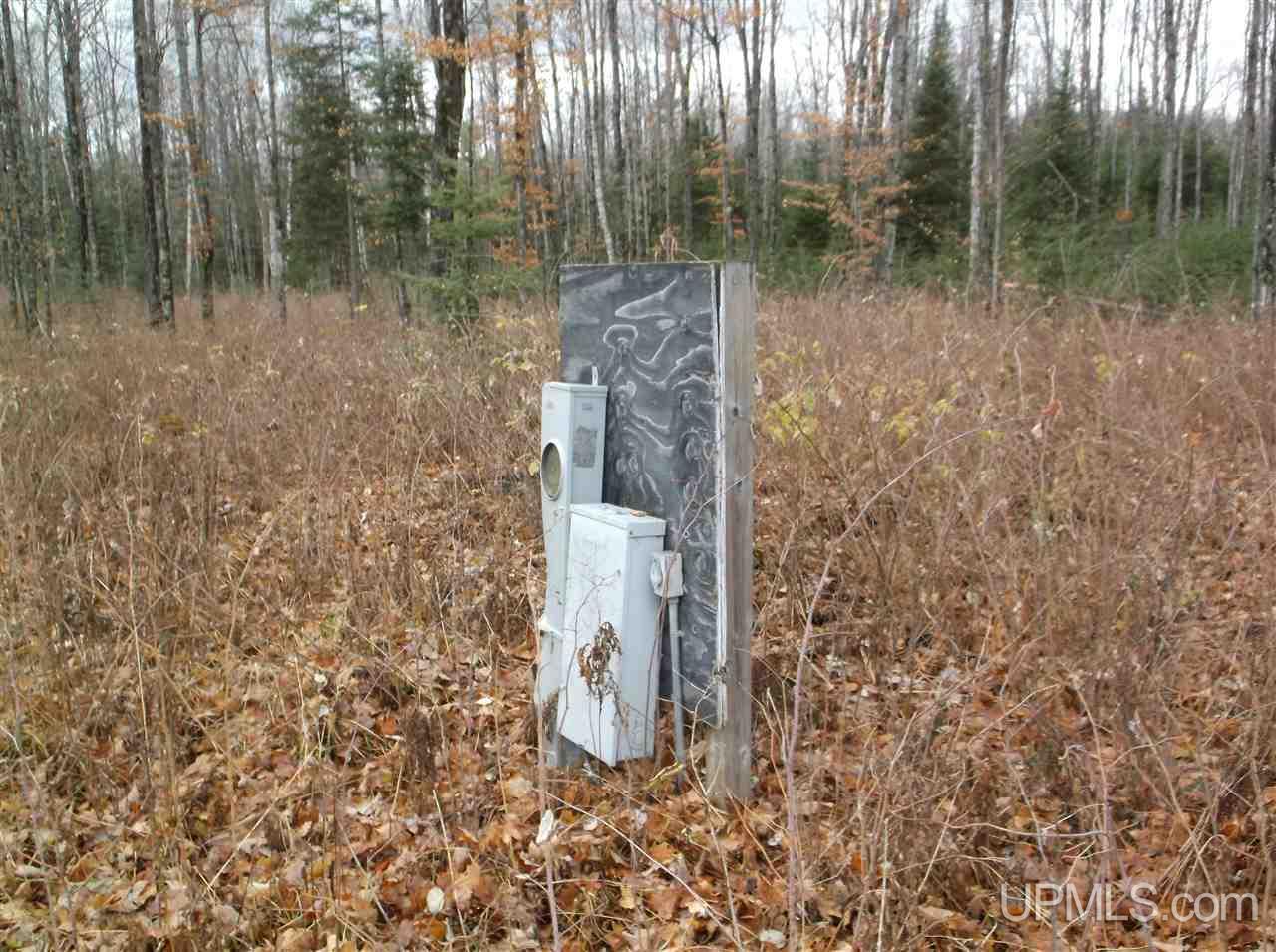 N10259 North Lane Road Sagola, MI 49881 - Photo 4 of 4 Gallery Image 4