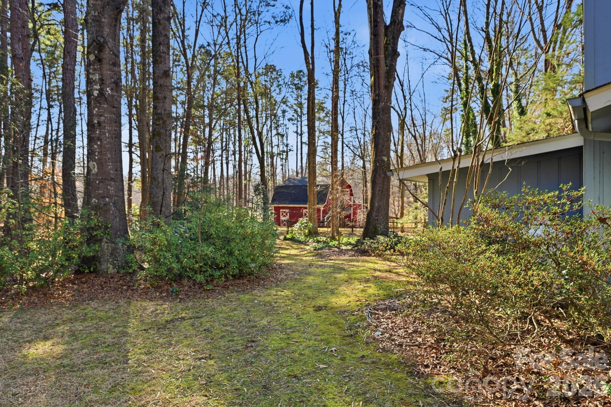 1916 Davis Road Davidson, NC 28036 - Photo 37 of 45 a view of a yard with plants and large trees