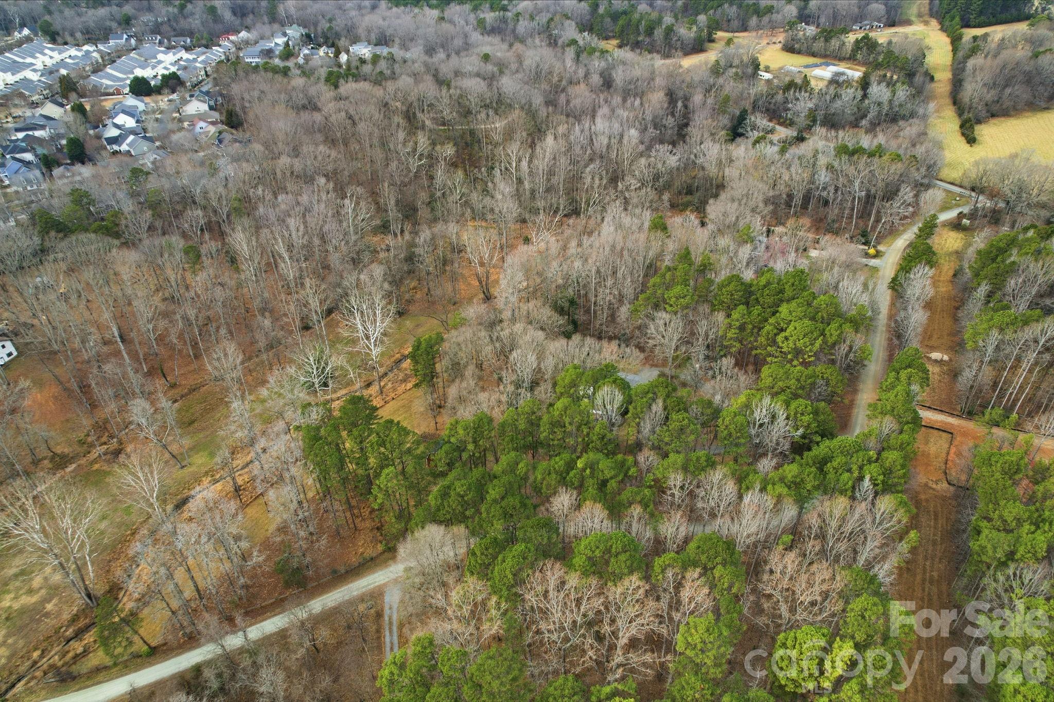 1916 Davis Road Davidson, NC 28036 - Photo 41 of 45 a view of a forest with a tree