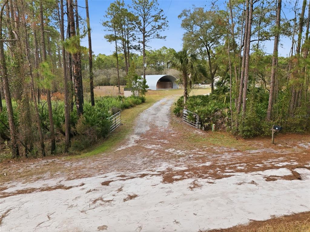 104 Ferncreek Drive Georgetown, FL 32139 - Photo 40 of 52 a view of a yard with plants and trees