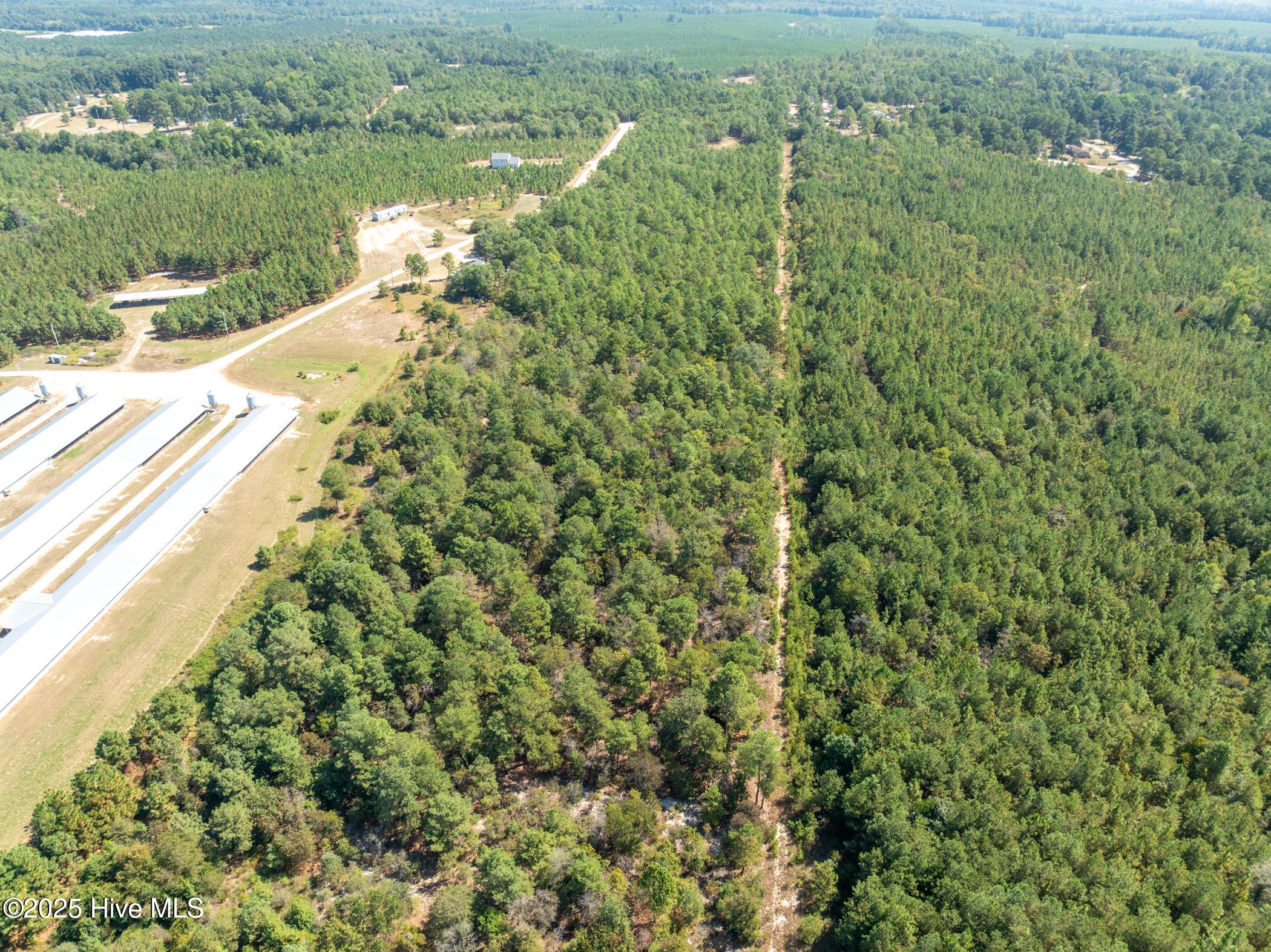 3 Green Lake Road Ellerbe, NC 28338 - Photo 13 of 18 DJI_0618