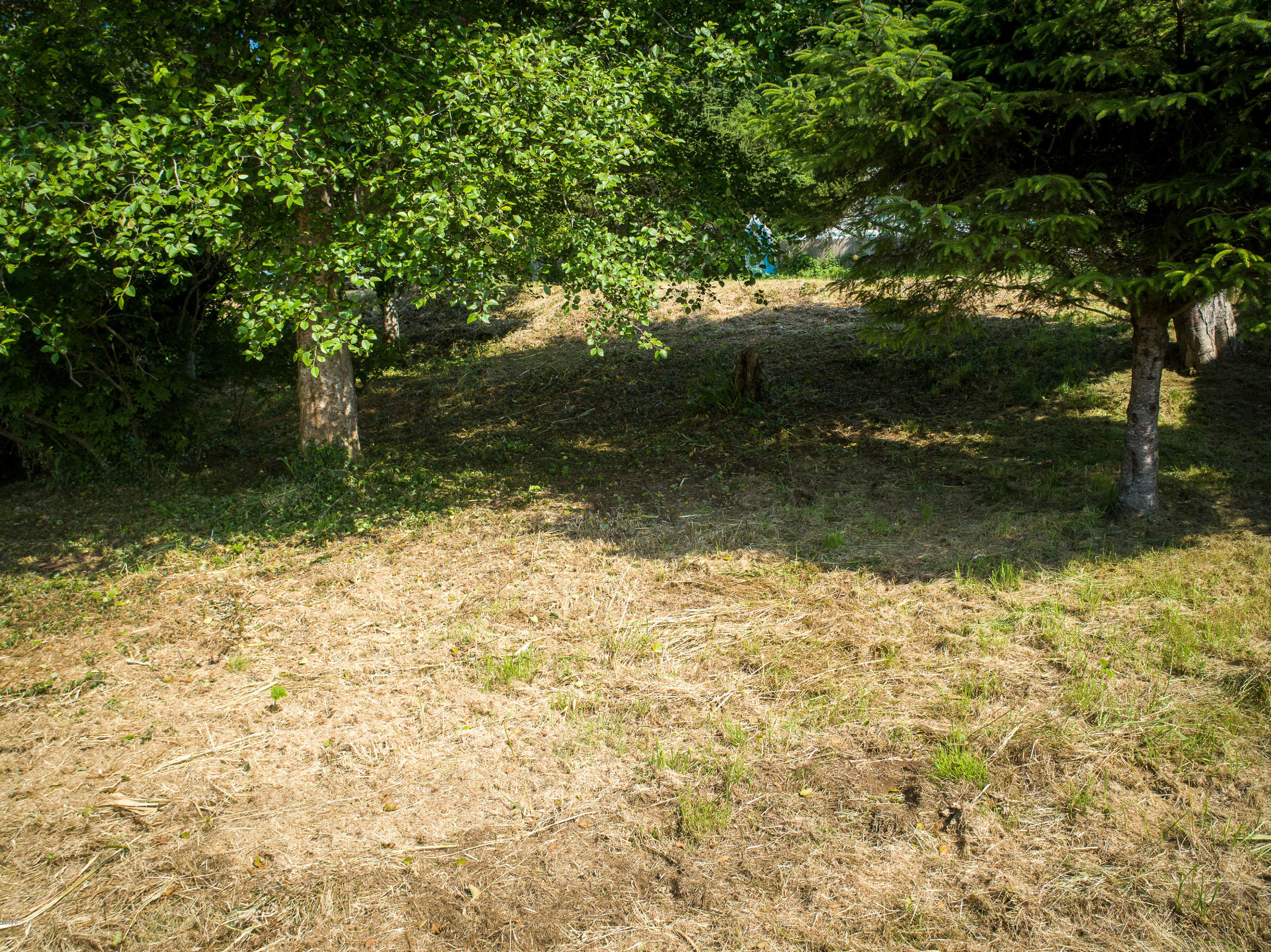 Tl3900 Tl3900 Shell Yachats, OR 97498 - Photo 10 of 23 HighRes-10