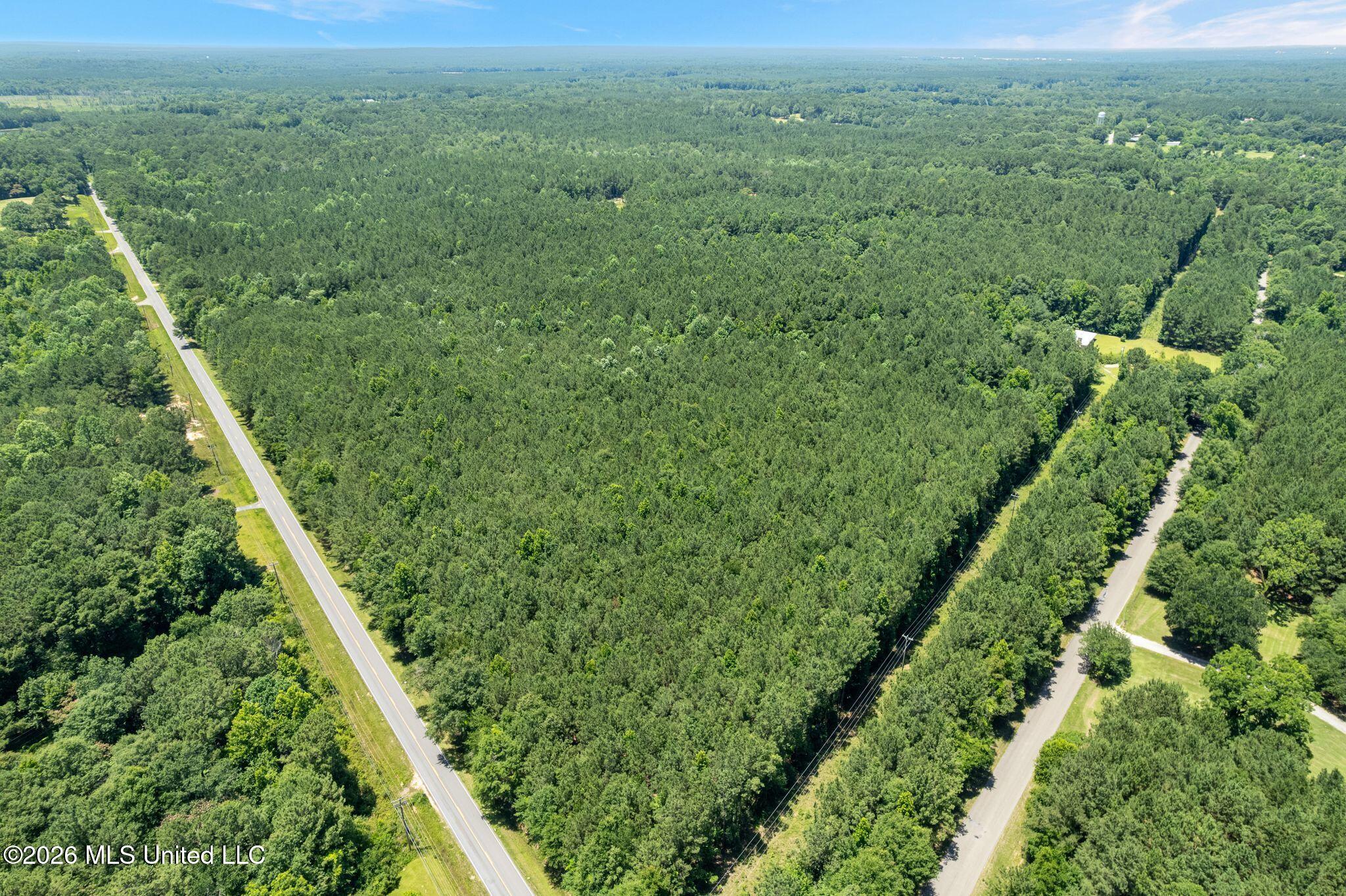 313 Spur Line Road Ellisville, MS 39437 - Photo 29 of 34 313_Spurline-29