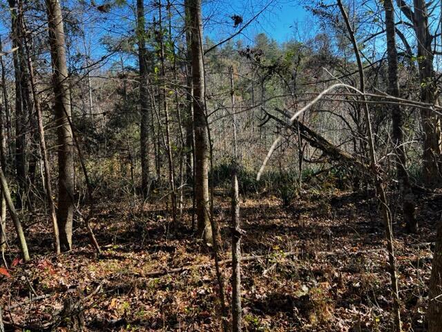 0 Fixer Road Zoe, KY 41397 - Photo 8 of 10 Booth 8